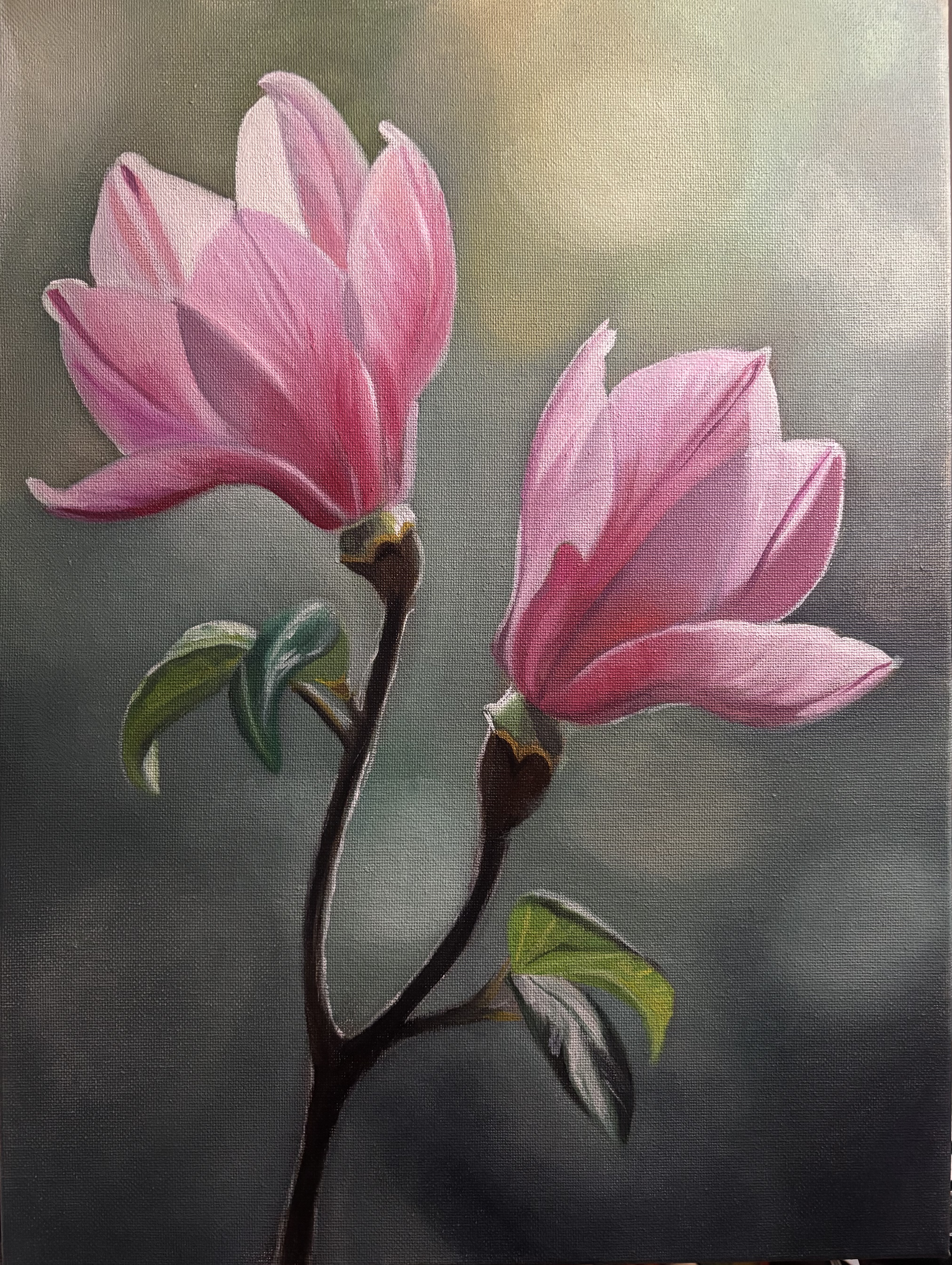Sweet Magnolias — class photo